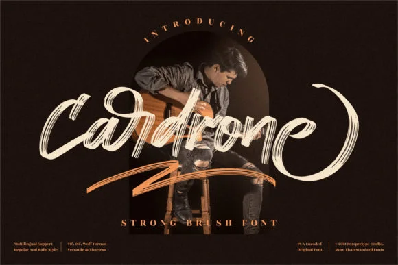 Cardrone Font by Perspectype — Script Handwritten Font
