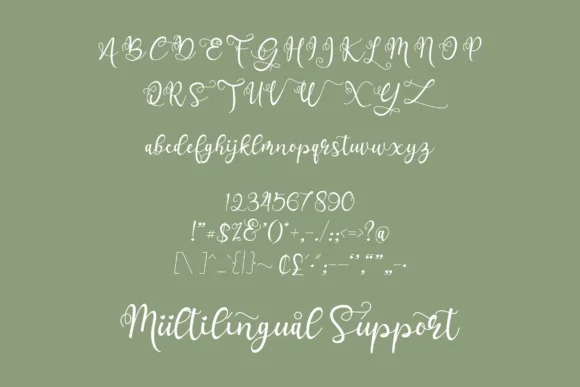 Carmelio Font by RT Studio — Script Handwritten Font — thumbnail 6
