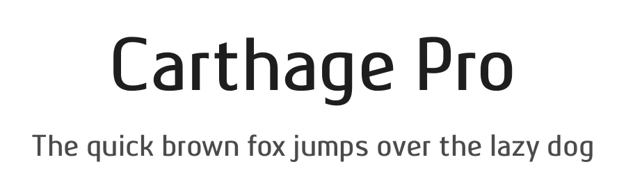 Carthage Pro by Mo Ya β Sans Serif Font
