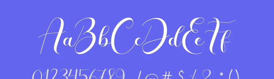 Castina by Haffa Studio — Script Handwritten Font — thumbnail 3