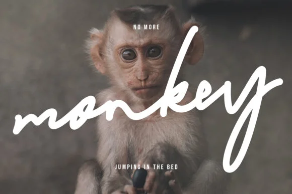 Cattilo Font by Maulana Creative — Script Handwritten Font — thumbnail 7