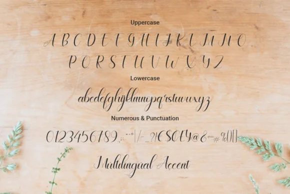 Celinya Font by RoninDesign — Script Handwritten Font — thumbnail 2
