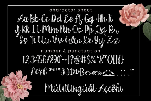 Ceylonia Font by attypestudio — Script Handwritten Font — thumbnail 7