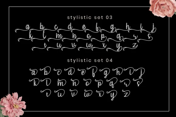 Ceylonia Font by attypestudio — Script Handwritten Font — thumbnail 9