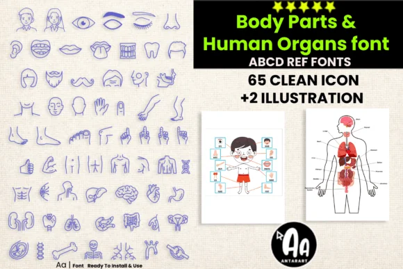 Abcd Ref Body Parts Organs by AntarArt — Dingbats Font