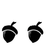 Acorn by Ketsarin — Dingbats Font — thumbnail 8