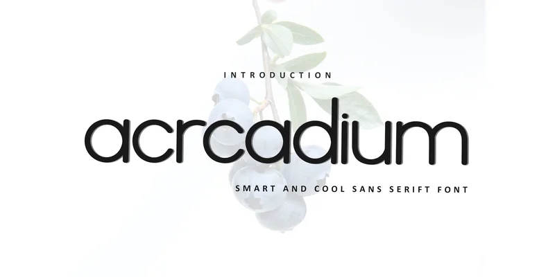 Acrcadium Font by Inermedia STUDIO — Sans Serif Font
