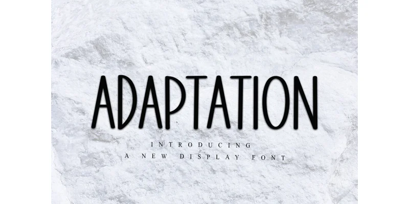 Adaptation Font by PiPi Creative by PiPi Creative — Display Font