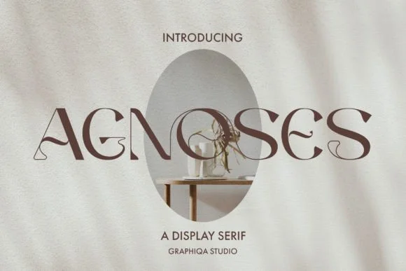 Agnoses by graphiqa — Slab Serif Font