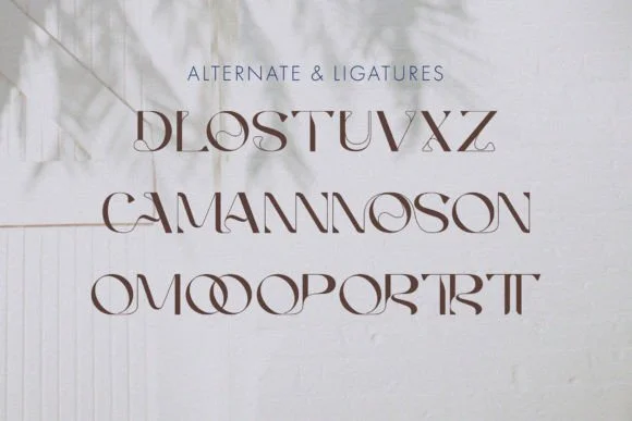 Agnoses by graphiqa — Slab Serif Font — thumbnail 4