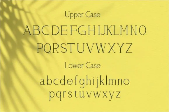 Airo by Trotoart Design — Slab Serif Font — thumbnail 5