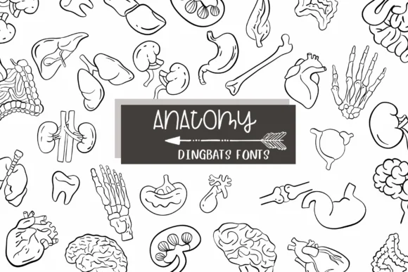 Anatomy by Sirinart — Dingbats Font