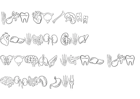 Anatomy by Sirinart — Dingbats Font — thumbnail 8