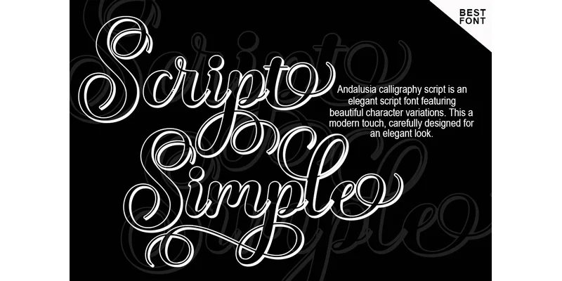 Andalusia Calligraphy Font by AF Type — Script Handwritten Font — thumbnail 4