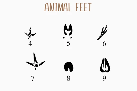 Animal Feet by Nongyao — Dingbats Font — thumbnail 4