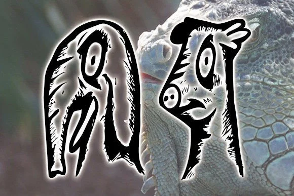 Animality by vladimirnikolic — Dingbats Font — thumbnail 3