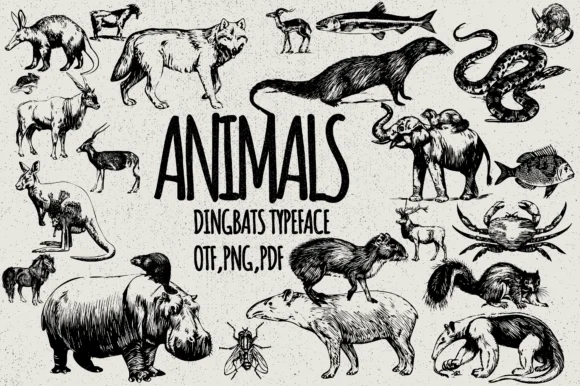 Animals by Minimalistartstudio — Dingbats Font