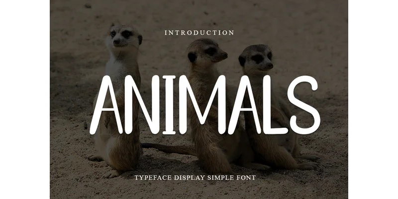 Animals Font by PiPi Creative — Sans Serif Font