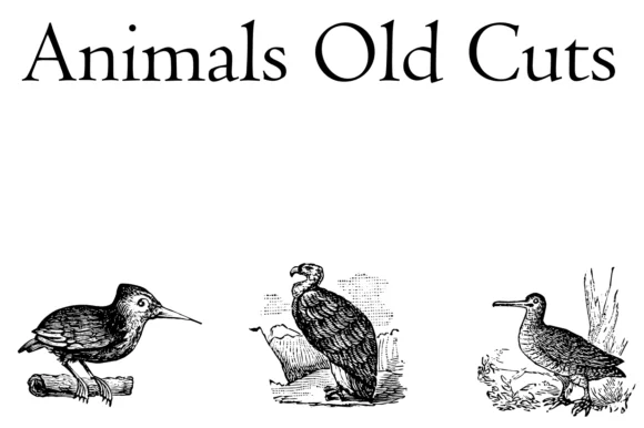 Animals Old Cuts by Intellecta Design — Dingbats Font