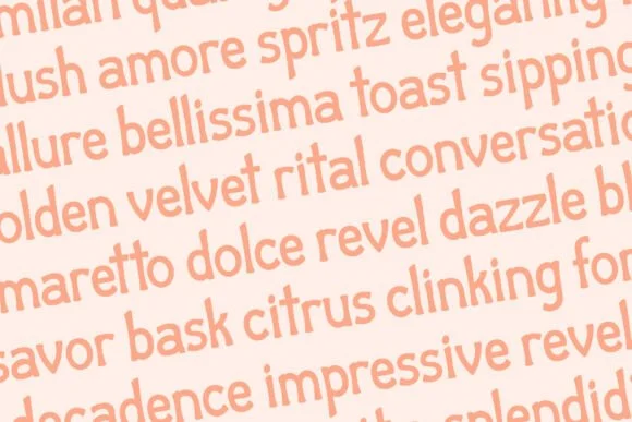 Aperitivo Affair by Emily Ann Hill Type — Slab Serif Font — thumbnail 4