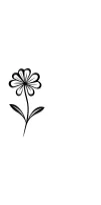 Aura Flowers by MOMAT THIRTYONE — Dingbats Font — thumbnail 3