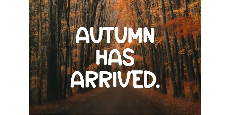 Autumn Flowene Font by qrdesignstd — Sans Serif Font — thumbnail 4