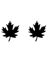 Autumn Leaf by Heartcraft Atelier — Dingbats Font — thumbnail 8