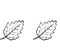 Autumn Leaver by Ketsarin — Dingbats Font — thumbnail 8