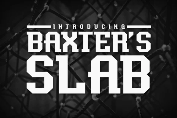 Baxter's Slab by Chequered Ink — Slab Serif Font