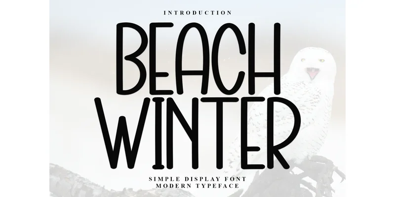 Beach Winter Font by Inermedia STUDIO by Inermedia STUDIO — Display Font