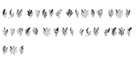 Beautiful Feather Combination by MOMAT THIRTYONE — Dingbats Font — thumbnail 6