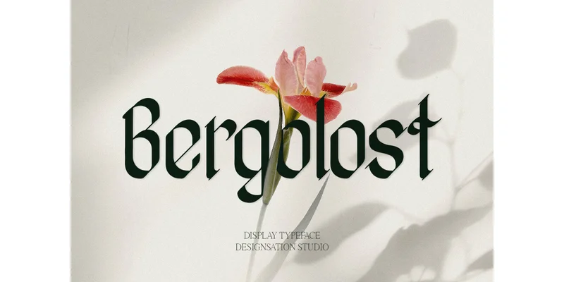 Bergolost Font by Designsation by Designsation β Blackletter Font