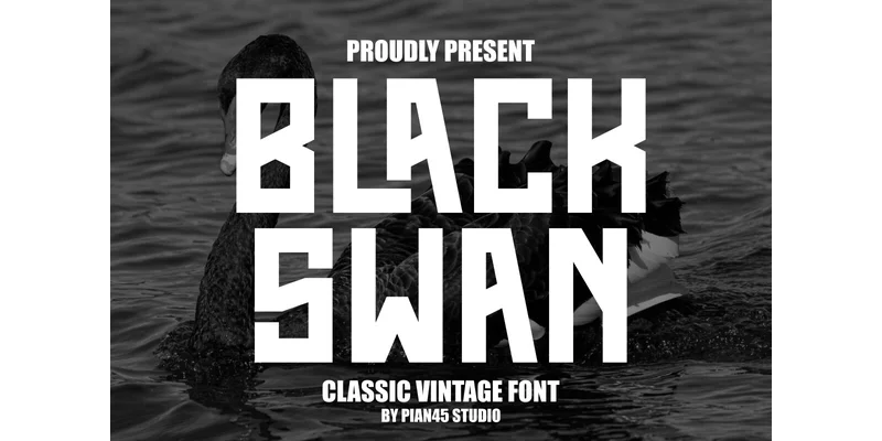 Black Swan Font by Pian45 — Sans Serif Font