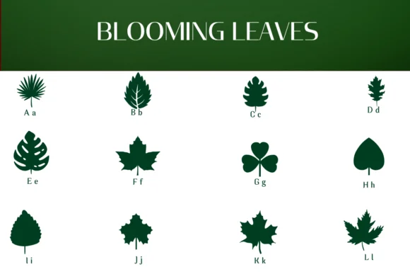 Blooming Leaves by Heartcraft Atelier — Dingbats Font — thumbnail 2