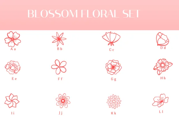 Blossom Floral Set by Heartcraft Atelier — Dingbats Font — thumbnail 2