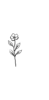 Blossom Whisper Flower by MOMAT THIRTYONE — Dingbats Font — thumbnail 3