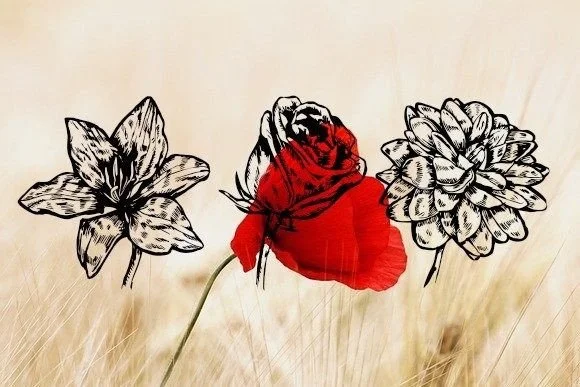 Blumen by vladimirnikolic — Dingbats Font — thumbnail 2