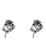 Blumen by vladimirnikolic — Dingbats Font — thumbnail 4