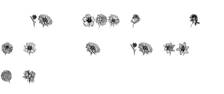 Blumen by vladimirnikolic — Dingbats Font — thumbnail 5