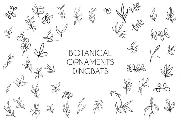 Botanical Ornaments by goodigital — Dingbats Font