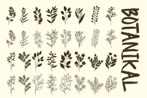Botanikal by Font-Tastic — Dingbats Font