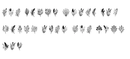 Bouquet of Feathers by MOMAT THIRTYONE — Dingbats Font — thumbnail 6