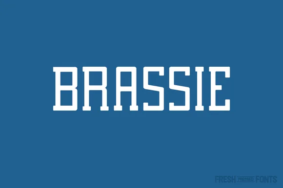 Brassie Family by Fresh Pressed Fonts — Slab Serif Font