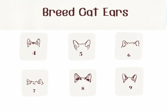 Breed Cat Ears by Ketsarin — Dingbats Font — thumbnail 4