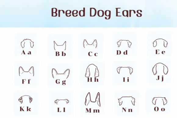 Breed Dog Ears by Ketsarin — Dingbats Font — thumbnail 2
