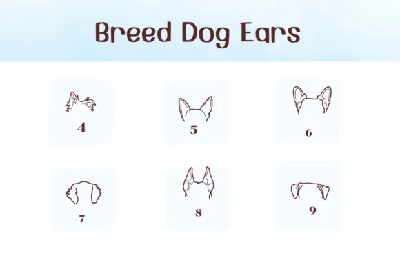 Breed Dog Ears by Ketsarin — Dingbats Font — thumbnail 4