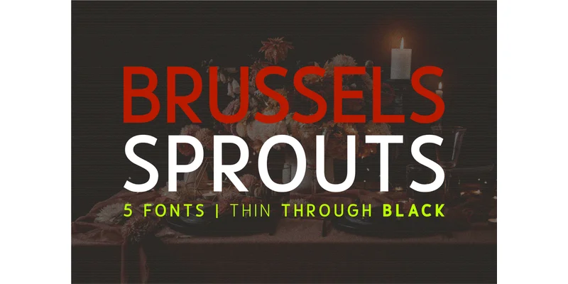 Brussels Sprouts Font by Huntype — Sans Serif Font
