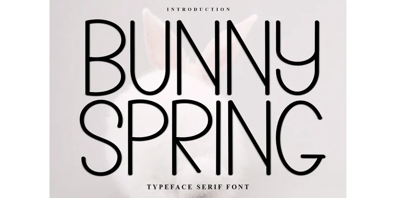Bunny Spring Font by Inermedia STUDIO — Sans Serif Font