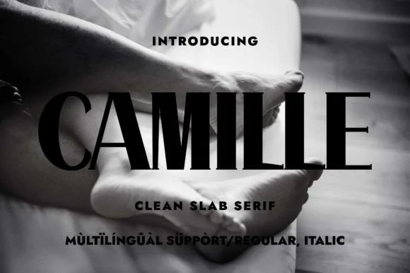 Camille by Minimalistartstudio β Slab Serif Font
