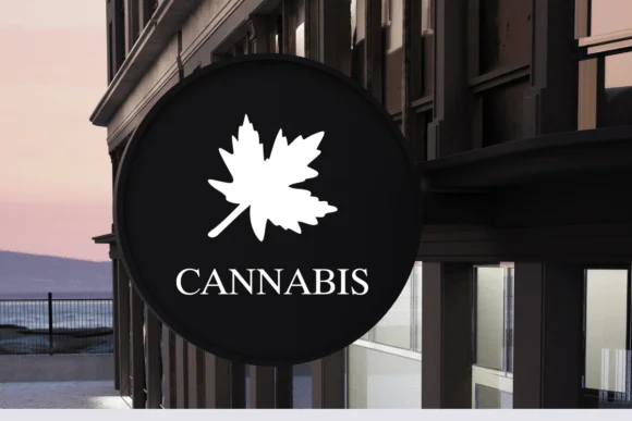 Cannada Day by Nongyao — Dingbats Font — thumbnail 7